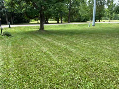Lawn Care service in Quakertown, 18951