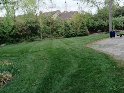 Lawn Care service in Vandalia, 45377