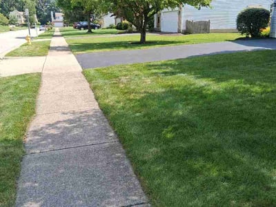 Lawn Care service in Lewis Center, 43035