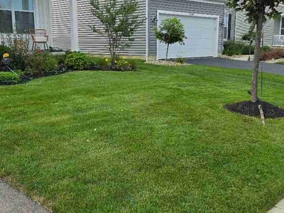 Lawn Care service in Powell, 43065