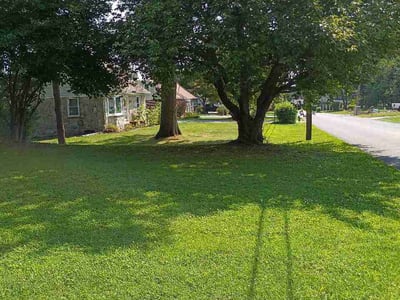 Lawn Care service in Lititz, 17543