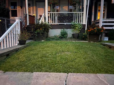Lawn Care service in Lititz, 17543