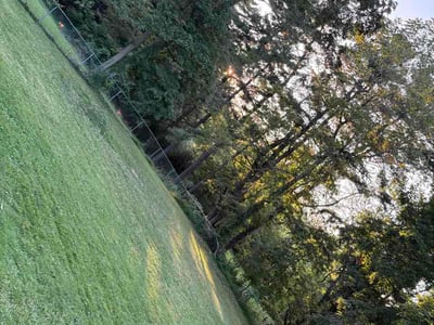 Lawn Care service in York, 17401