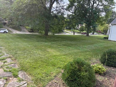 Lawn Care service in New Albany, 43054