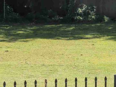 Lawn Care service in Coweta, 74429
