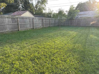 Lawn Care service in Holland, 43528