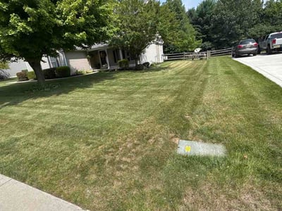 Lawn Care service in Holland, 43528