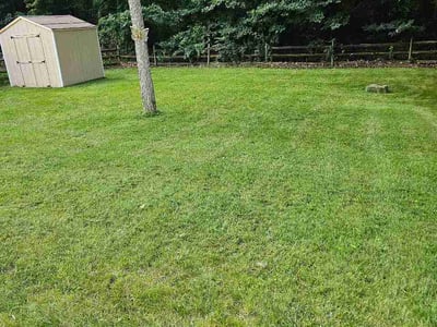 Lawn Care service in Holland, 43528