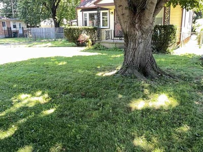 Lawn Care service in Springboro, 45066