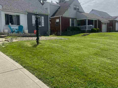 Lawn Care service in Springboro, 45066