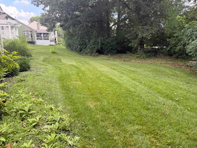 Lawn Care service in Orient, 43146
