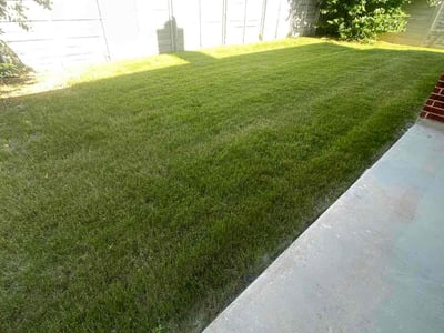 Lawn Care service in Argyle, 76226