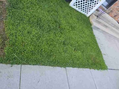 Lawn Care service in Millsboro, 19966