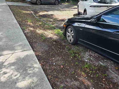 Leaf Removal service in St Cloud, 34769