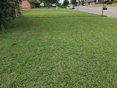 Lawn Care service in Wetumpka, 36092