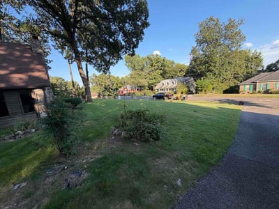 Leaf Removal service in Spartanburg, 29306