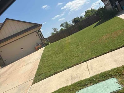 Lawn Care service in San Rafael, 94901