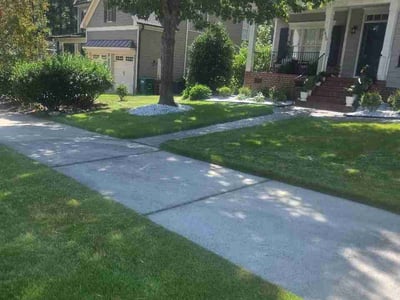 Lawn Care service in San Rafael, 94901