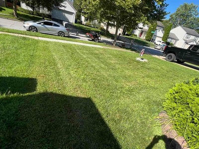 Lawn Care service in Berlin, 21811