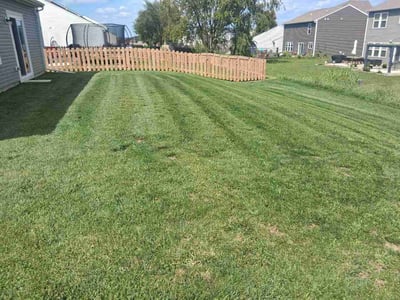 Lawn Care service in Cape May, 08204