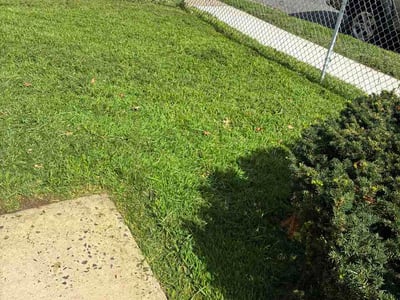 Lawn Care service in Linden, 07036