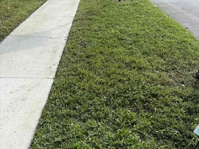 Lawn Care service in Salinas, 93901