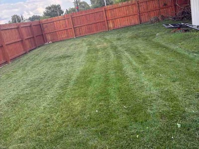 Lawn Care service in Evergreen Park, 60805