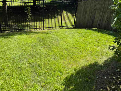Lawn Care service in Evergreen Park, 60805