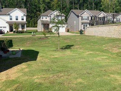 Lawn Care service in Ozone Park, 11417