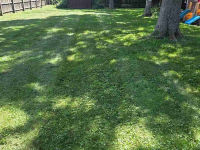 Lawn Care service in Griffith, 46319