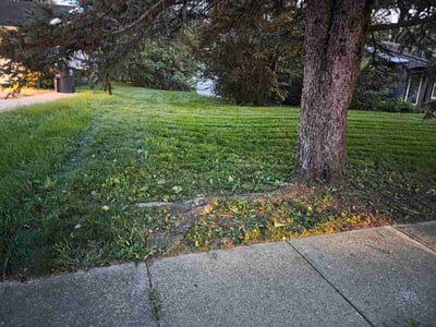 Lawn Care service in Merrillville, 46410