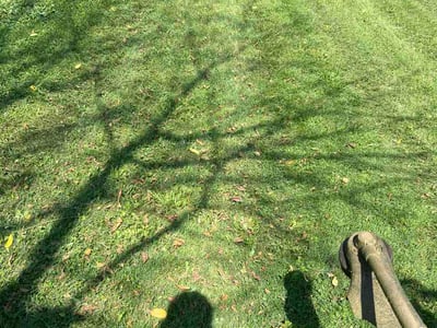 Lawn Care service in Ocean City, 08226