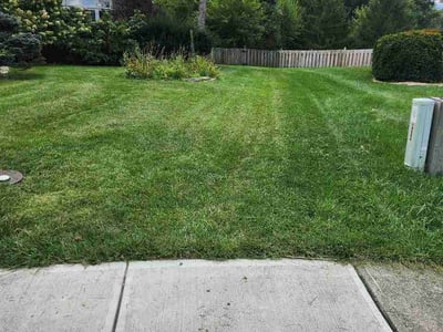 Lawn Care service in Wildwood, 08260