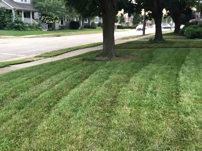 Lawn Care service in Burlington, 53105
