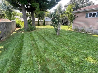Lawn Care service in Burlington, 53105