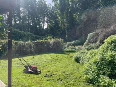 Lawn Care service in Scarsdale, 10583