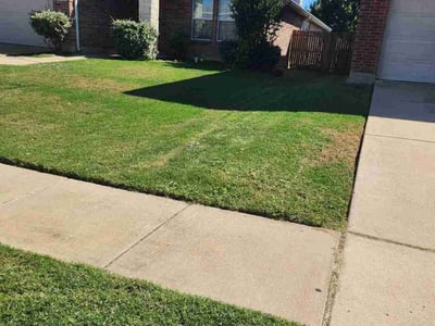 Lawn Care service in Scarsdale, 10583