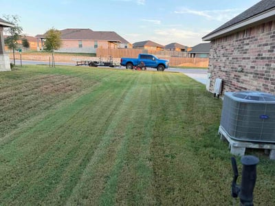 Lawn Care service in Harker Heights, 76548