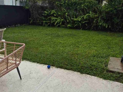 Lawn Care service in Elmhurst, 11373