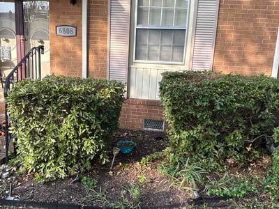Lawn Care service in Maspeth, 11377
