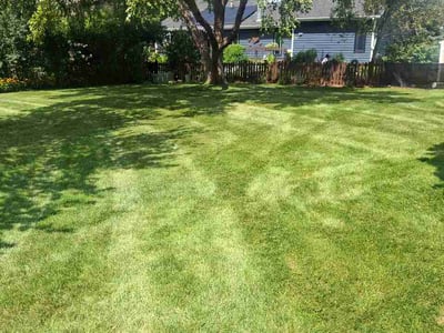 Lawn Care service in Batavia, 60510