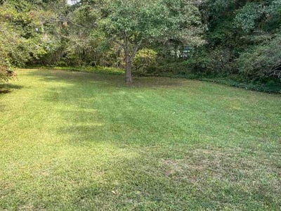Lawn Care service in Howard Beach, 11414