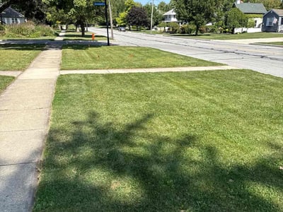 Lawn Care service in Crown Point, 46307