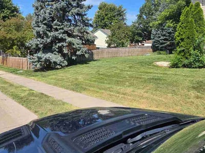 Lawn Care service in Corona, 11368
