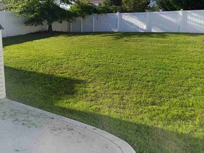 Lawn Care service in York, 29745