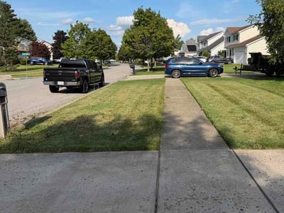Lawn Care service in Long Beach, 11561