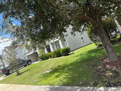 Lawn Care service in Richmond Hill, 11418
