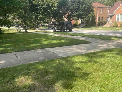Lawn Care service in South Holland, 60473