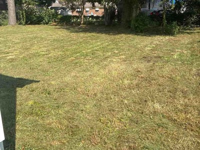 Lawn Care service in Hoboken, 07030