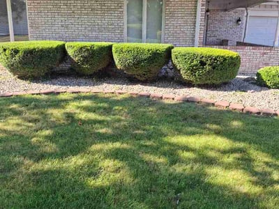 Lawn Care service in South Holland, 60473